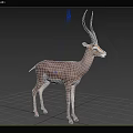 Gazelle Standing In Natural Grassland Environment 3d model