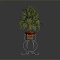 Green Leafy Plant In Red Flower Pot On Metal Stand With Curved Legs