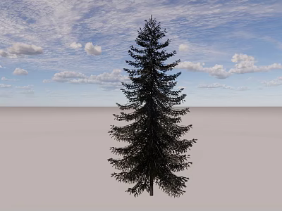 Tall Evergreen Arbor With Dense Foliage Under Blue Sky And White Clouds On Gray Ground 3d model
