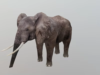 Elephant Game Movie Character with Large Ears Long Trunk and White Tusks 3d model