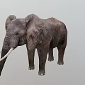 Elephant Game Movie Character with Large Ears Long Trunk and White Tusks