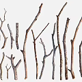 Natural Wooden Branches With Various Shapes And Sizes For Decorative Use