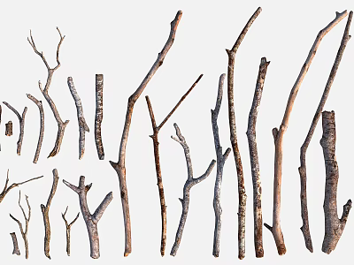 Natural Wooden Branches With Various Shapes And Sizes For Decorative Use 3d model
