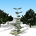 Modern tree bamboo 3d model