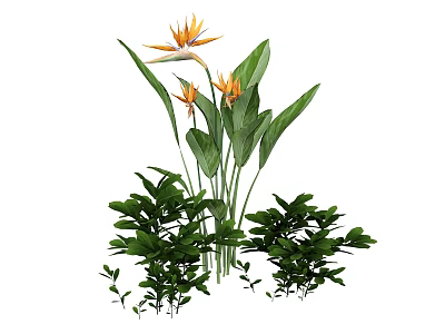 Lush Bonsai Potted Plant With Orange Bird of Paradise Flowers And Green Foliage 3d model