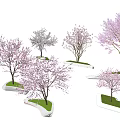 Arbor Trees With Pink Blossoms Growing On Green Lawn And Stone Platforms