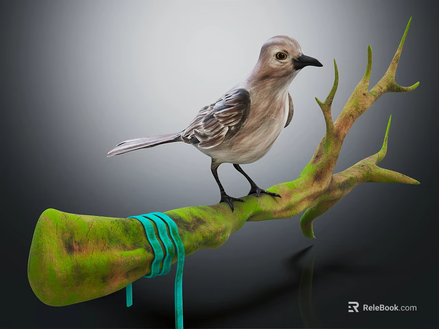 Gray Bird Perched On Green Moss Covered Branch With Teal Ribbon Tied Around 3d model 