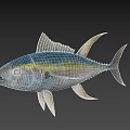 Vibrant Blue Green And Yellow Tuna Aquatic Animal With Distinct Fins And Eyes