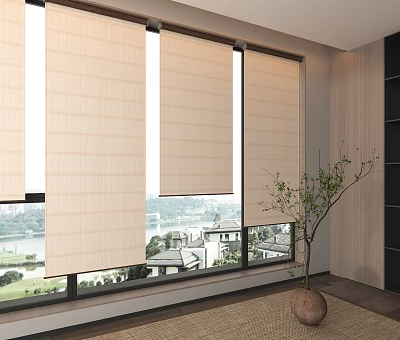 Roman Shades Installed On Large Windows In Room With Scenic View 3d model