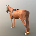 Brown Horse With Saddle And Bridle Standing In Neutral Background