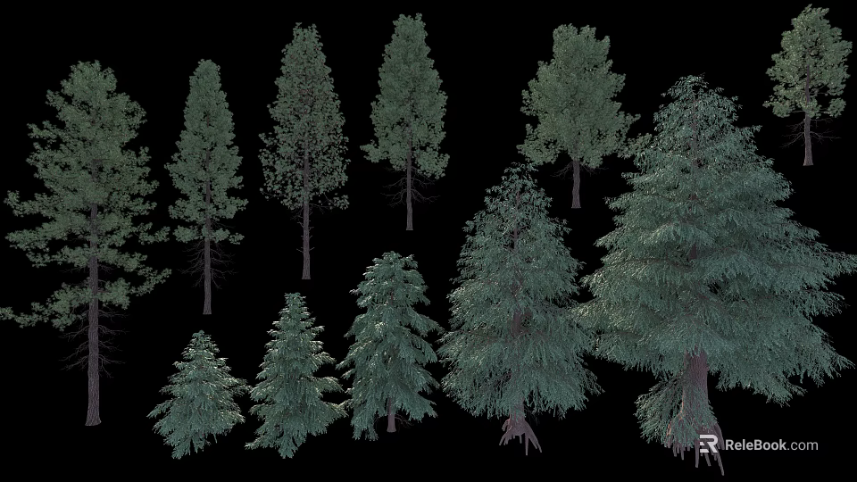 Various Arbor Trees Displaying Different Heights and Dense Green Foliage 3d model