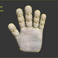 Pink Human Hand Organ 3D Model With Segmented Joints On Black Background 3d model