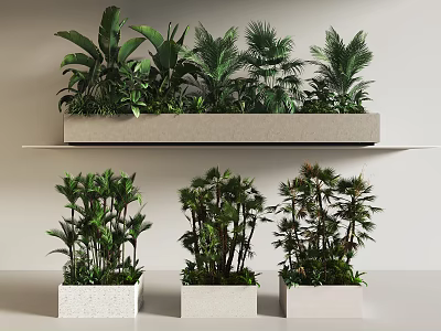 Modern Bonsai Plants Arrangement In White Rectangular And Square Planters With Various Green Foliage 3d model