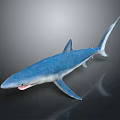 Blue Shark With Shiny Body Swimming In Dark Background With Reflection