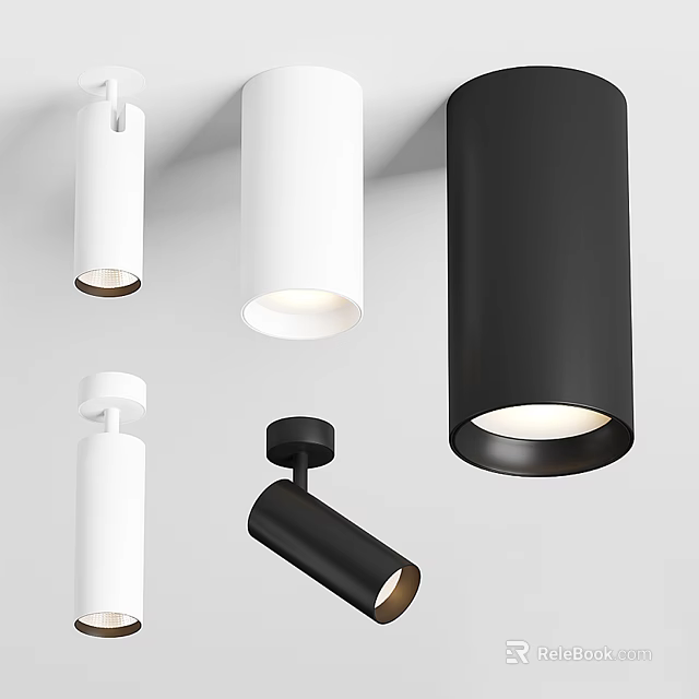 Modern White and Black Downlights and Spotlights with Sleek Design for Interior Lighting 3d model 