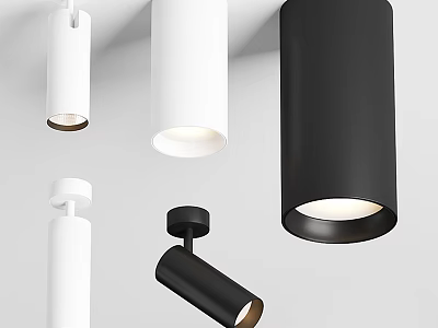 Modern White and Black Downlights and Spotlights with Sleek Design for Interior Lighting 3d model