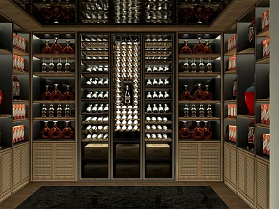 Luxury Wine Cellar Interior Design With Shelves Bottles And Lighting 3d model
