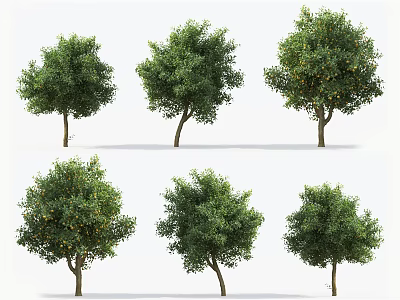 The Modern Tree 3d model The Modern Tree 3d model