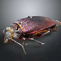 Shiny Metallic Purple Beetle With Orange Edges And Detailed Legs On Dark Background