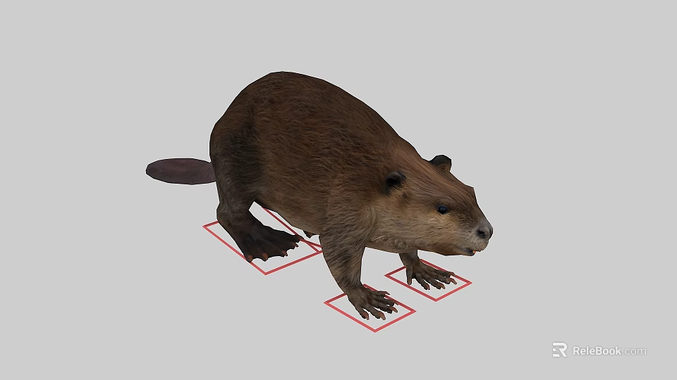 Brown Reptile With Claws Standing On White Background With Red Markings 3d model 
