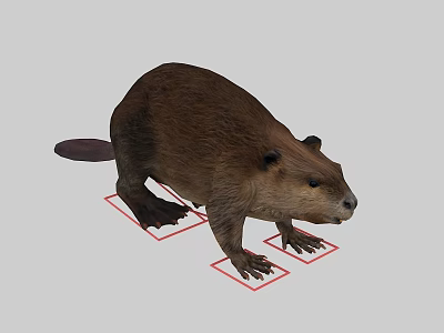 Brown Reptile With Claws Standing On White Background With Red Markings 3d model