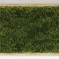 Green Moss Wall Decor with Natural Wooden Frame for Indoor Spaces