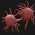 Biological Cells With Protruding Structures And Interconnected Features In 3D Rendering