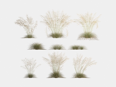 Flowers and plants landscape grass weeds dead grass weeds 3d model