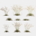 Flowers and plants landscape grass weeds dead grass weeds 3d model