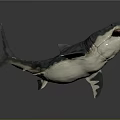 Detailed Shark Model with Open Mouth and Sharp Teeth on Gray Background with Reflection 3d model