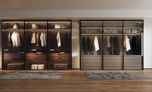 Glass wardrobe 3d model