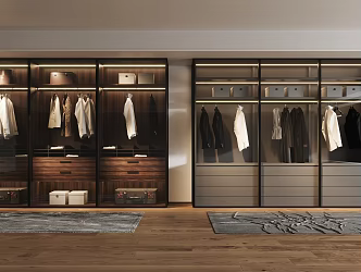 Glass wardrobe 3d model
