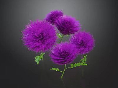 Purple Fluffy Pom Pom Plant With Green Leaves And Stems Against Dark Background 3d model