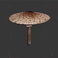 Fresh Spotted Mushroom With Brown And White Cap On Dark Background Stem