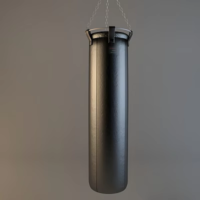 Modern Boxing Sandbag Boxing Bag Sandbag 3d model