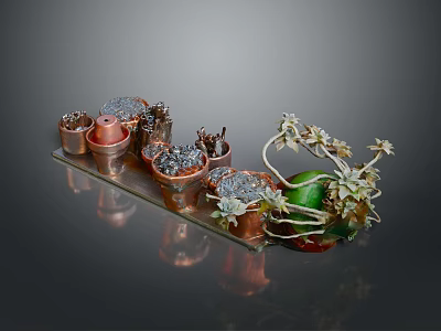 Small Potted Plants In Copper Containers On Decorative Tray With Green Leaves 3d model