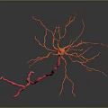 Advanced Medical Device For 3D Neuron Structure Visualization In Neuroscience Research 3d model