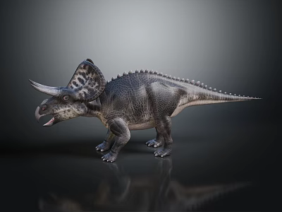 Realistic Triceratops Dinosaur Model With Large Horns Frilled Head And Spiked Back 3d model