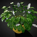 Lush Indoor Plant With Green And Silver Leaves In Yellow Pot