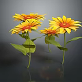 Group of Yellow Flowers With Green Leaves On Dark Background Surface