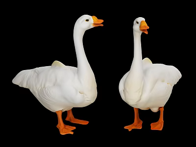 Goose Poultry Animal Livestock Big White Goose Big Goose Swan Domestic Goose Chicken Duck Goose 3d model