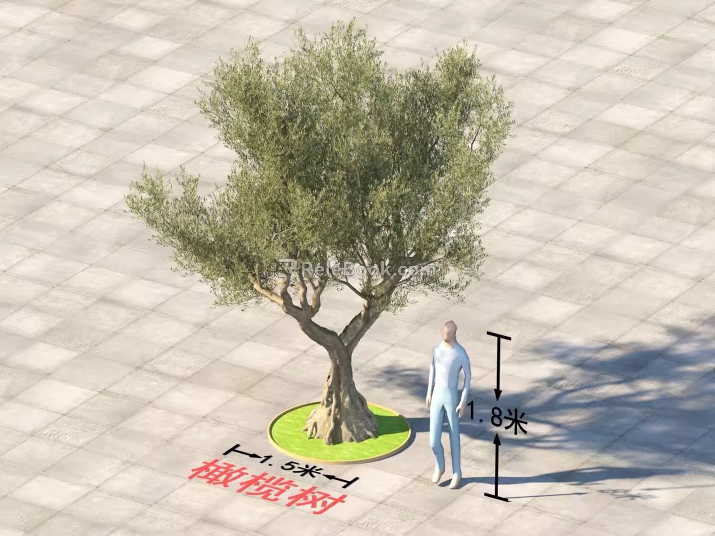 Olive Tree Plants 3d model