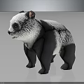 Realistic Panda 3D Model With Black And White Fur Standing On Gray Background