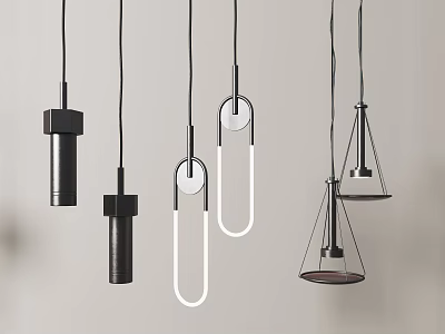 Modern Pendant Lights With Different Contemporary Designs In Black And White 3d model