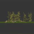 Natural Terrain With Scattered Stones Dirt And Small Grass In Circular Area