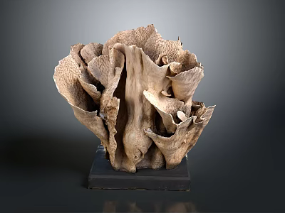 Natural Coral Polyps Sculpture With Intricate Textured Design And Black Base 3d model