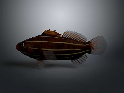 Brown Aquatic Fish with Yellow Stripes and Elegant Fins on Body 3d model