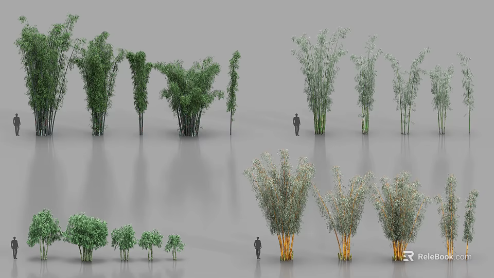 Diverse Bamboo Plants With Various Heights Leaf Shapes and Human Figure 3d model 