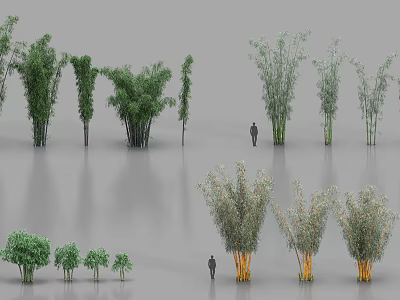Diverse Bamboo Plants With Various Heights Leaf Shapes and Human Figure 3d model