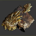 Yellow And Brown Mushroom With Irregular Shape Displaying Natural Growth Structure Features 3d model